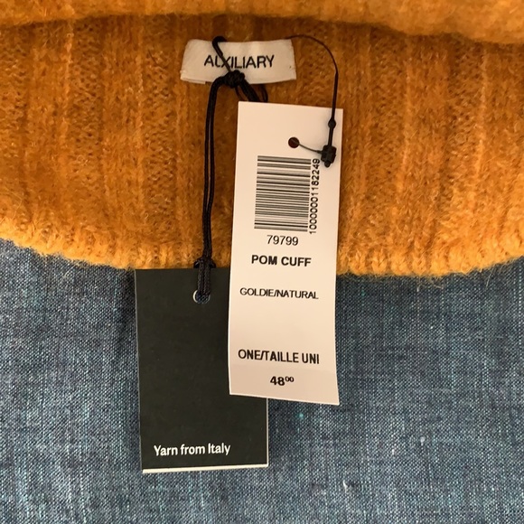 Aritzia Pom Pom Beanie - Picture 4 of 4